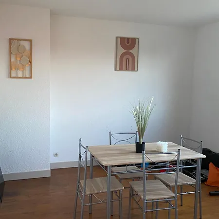 Cosy Vue Sur La Cathedrale Apartment Albi